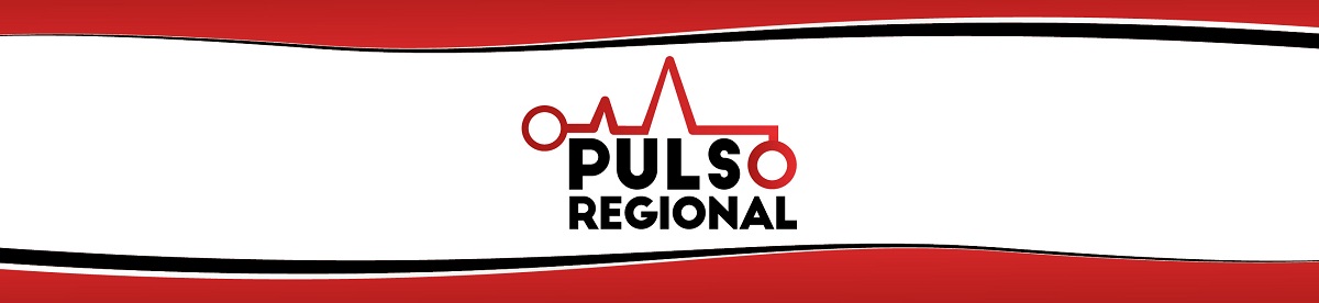 pulsoregional.mx-logo